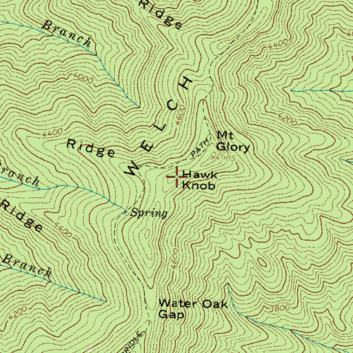 Topographic Map of Hawk Knob, NC