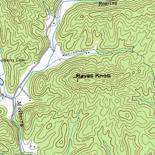 Topographic Map of Hayes Knob, NC