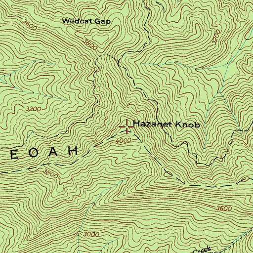 Topographic Map of Hazanet Knob, NC