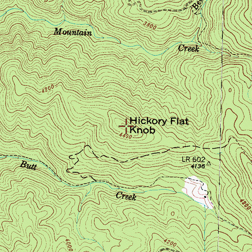 Topographic Map of Hickory Flat Knob, NC
