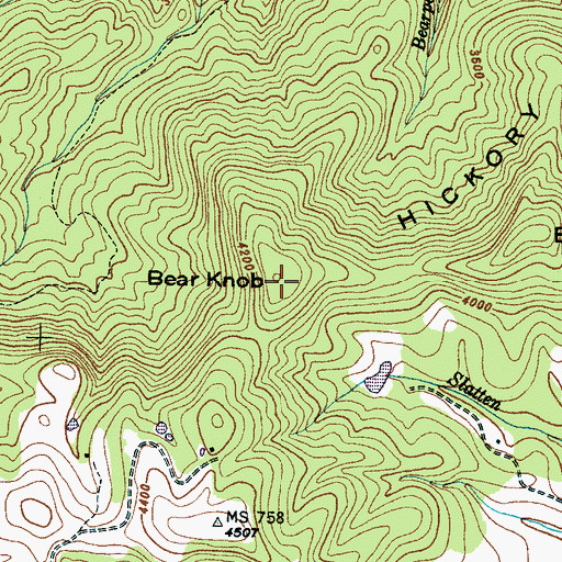 Topographic Map of Hickory Mountain, NC