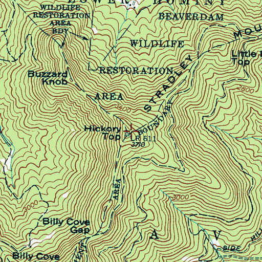 Topographic Map of Hickory Top, NC