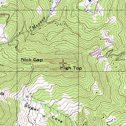 Topographic Map of High Top, NC