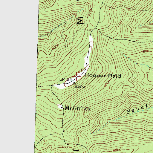 Topographic Map of Hooper Bald, NC