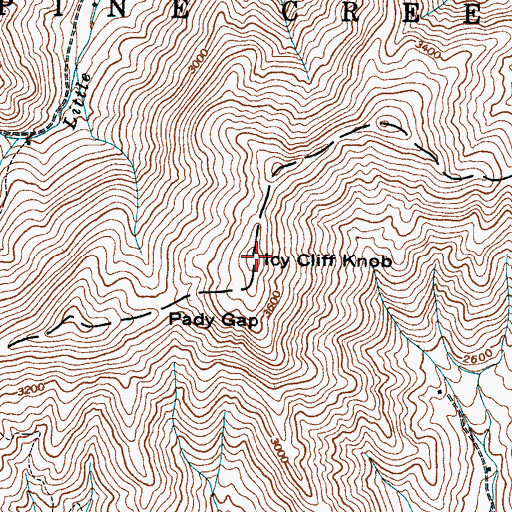 Topographic Map of Icy Cliff Knob, NC
