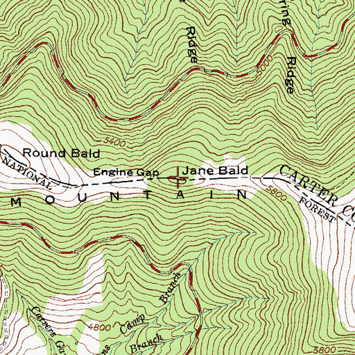 Topographic Map of Jane Bald, NC
