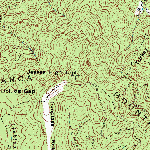 Topographic Map of Jesses High Top, NC