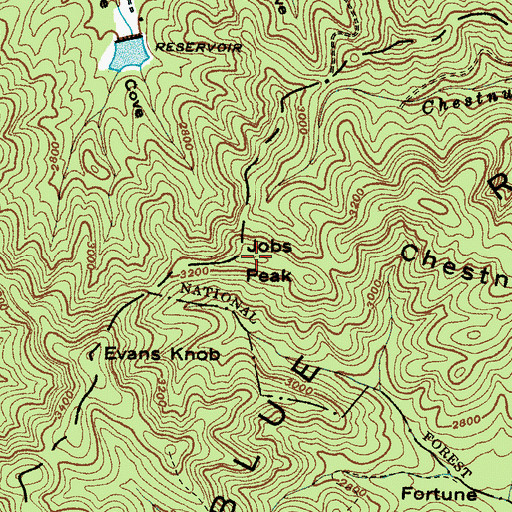 Topographic Map of Jobs Peak, NC