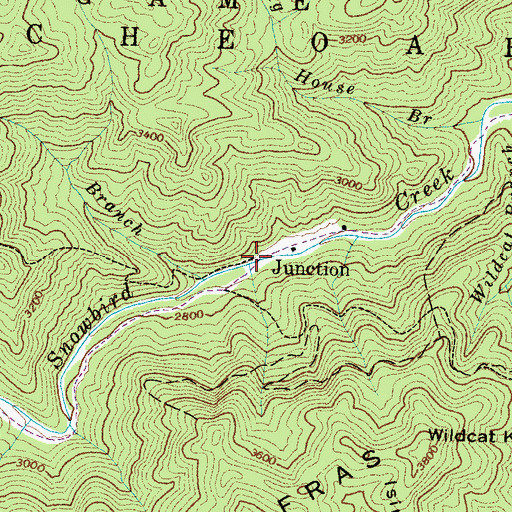 Topographic Map of Junction, NC