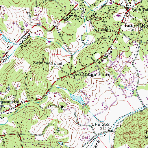 Topographic Map of Kanuga Pines, NC
