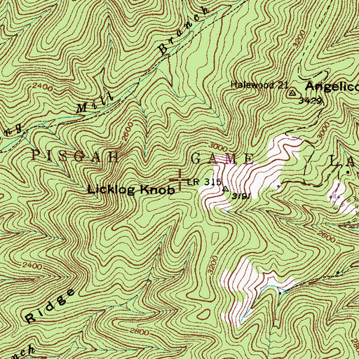 Topographic Map of Licklog Knob, NC