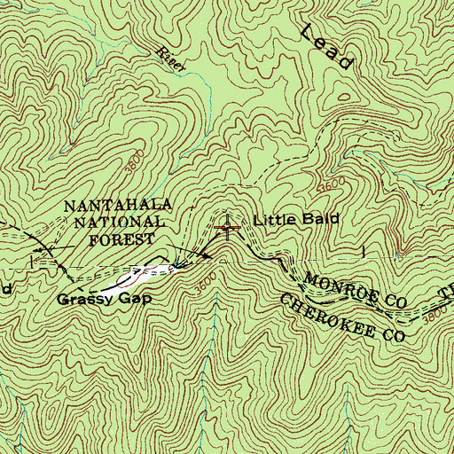 Topographic Map of Little Bald, NC