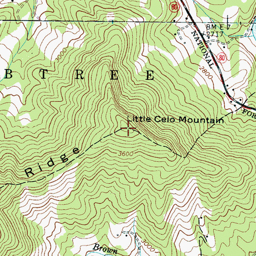Topographic Map of Little Celo Mountain, NC