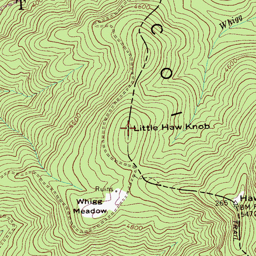 Topographic Map of Little Haw Knob, NC