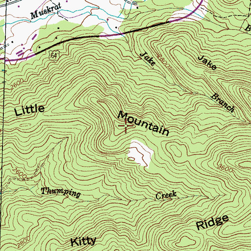 Topographic Map of Little Mountain, NC