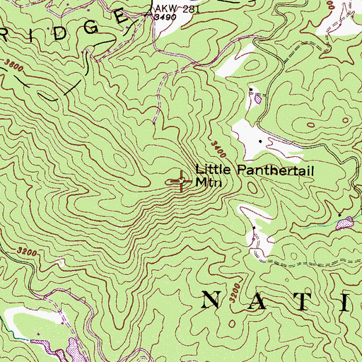 Topographic Map of Little Panthertail Mountain, NC