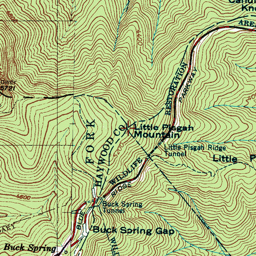 Topographic Map of Little Pisgah Mountain, NC