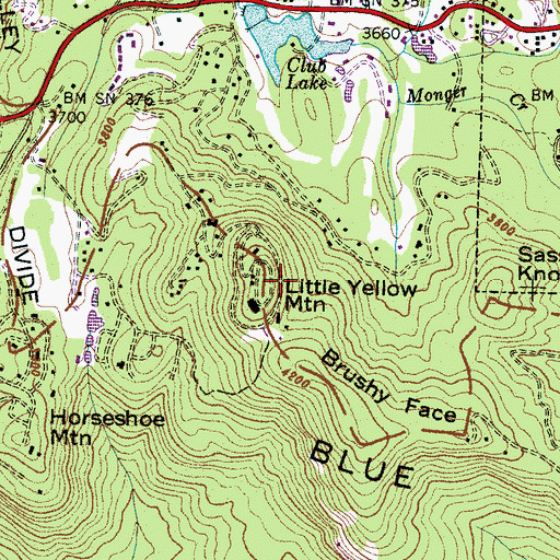 Topographic Map of Little Yellow Mountain, NC