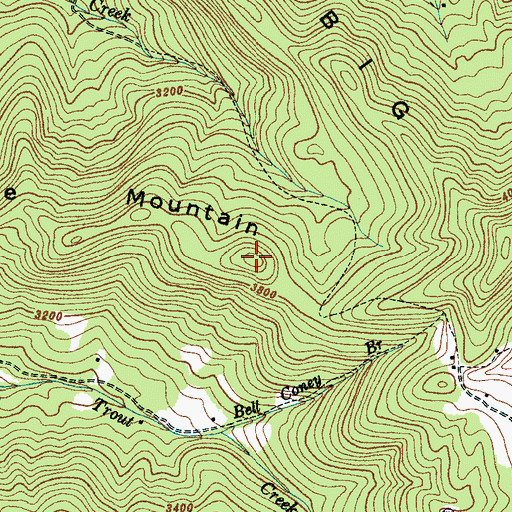 Topographic Map of Lizzie Mountain, NC