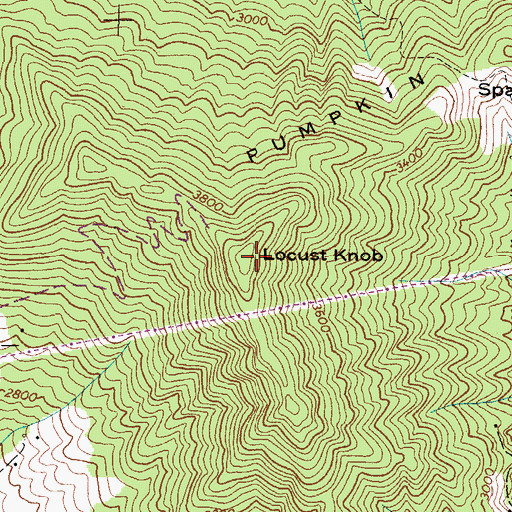 Topographic Map of Locust Knob, NC