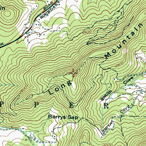 Topographic Map of Long Mountain, NC