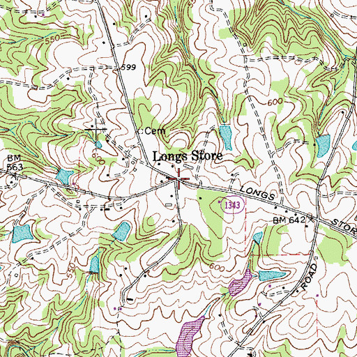 Topographic Map of Longs Store, NC