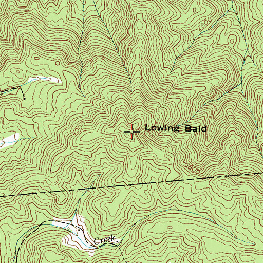 Topographic Map of Lowing Bald, NC