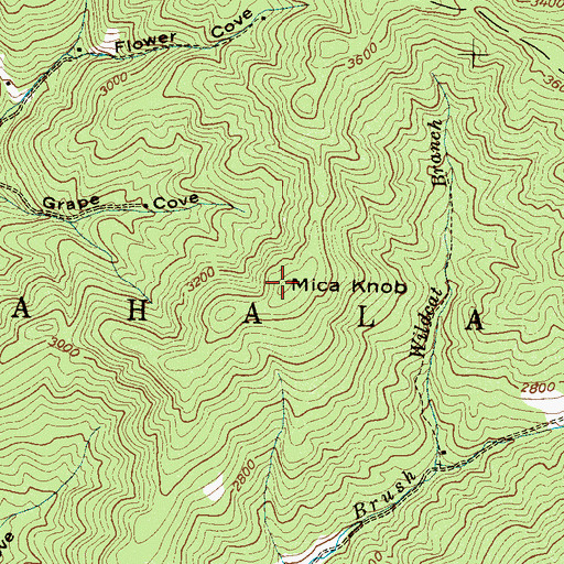Topographic Map of Mica Knob, NC