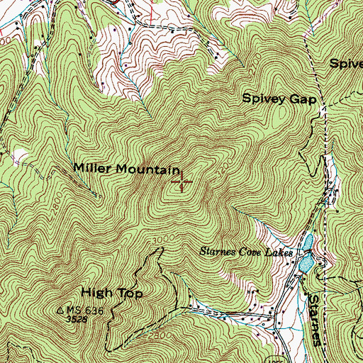 Topographic Map of Miller Mountain, NC