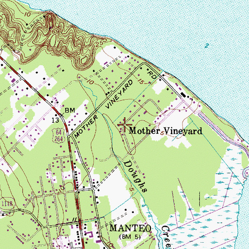 Topographic Map of Mother Vineyard, NC