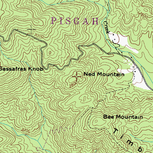 Topographic Map of Ned Mountain, NC