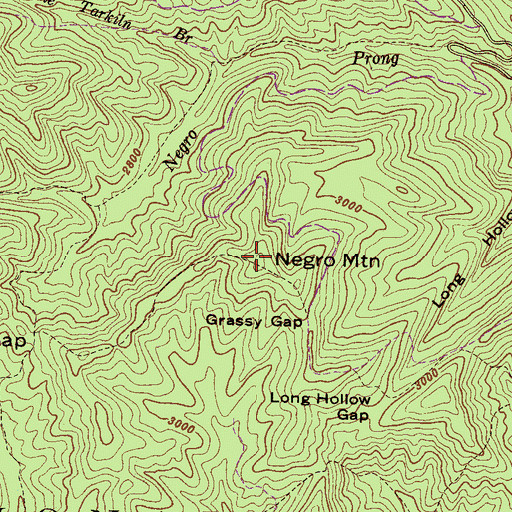 Topographic Map of Revels Mountain, NC