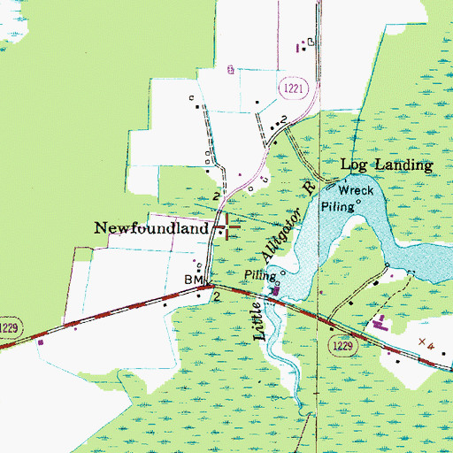 Topographic Map of Newfoundland, NC