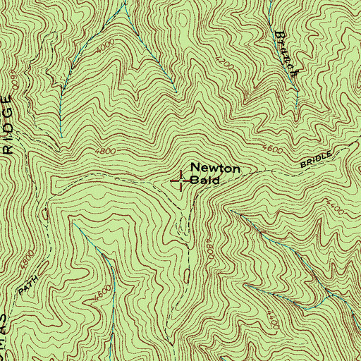 Topographic Map of Newton Bald, NC