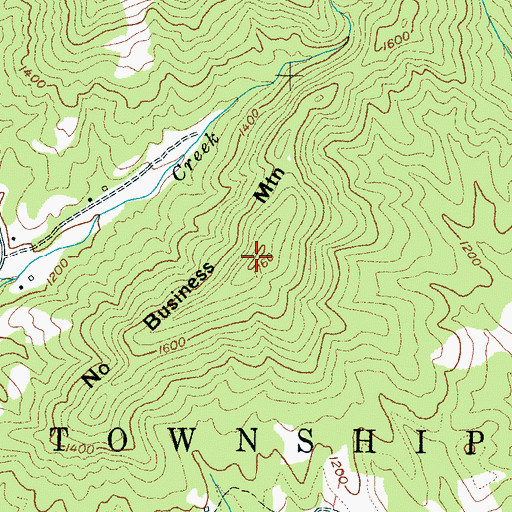 Topographic Map of No Business Mountain, NC