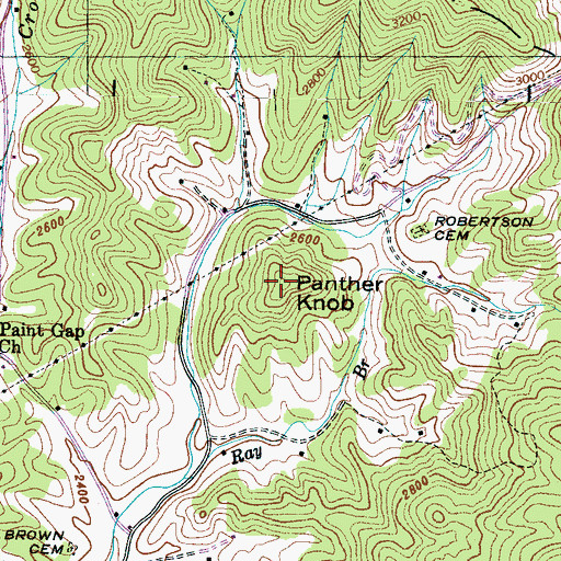 Topographic Map of Panther Knob, NC