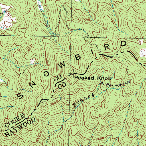 Topographic Map of Peaked Knob, TN