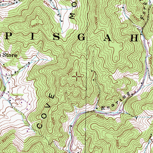 Topographic Map of Peter Cove Mountain, NC