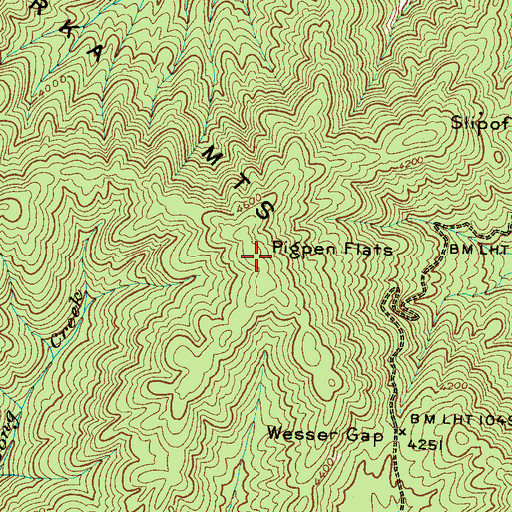 Topographic Map of Pigpen Flats, NC