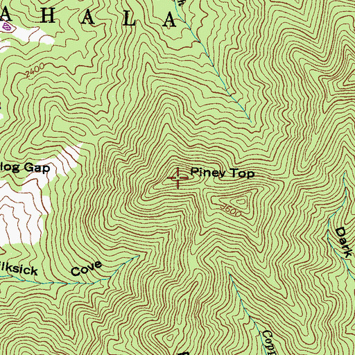 Topographic Map of Piney Top, NC