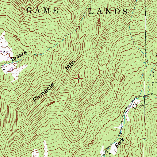 Topographic Map of Pinnacle Mountain, NC