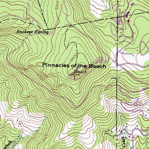 Topographic Map of Pinnacles of the Beech, NC