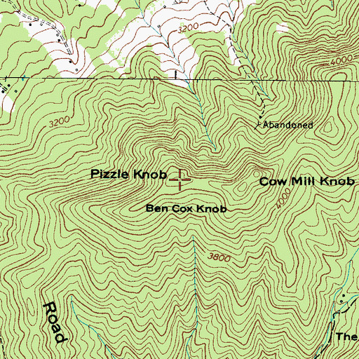 Topographic Map of Pizzle Knob, NC