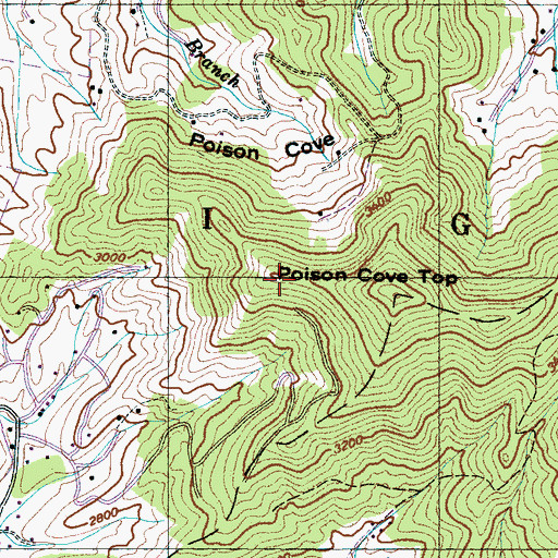 Topographic Map of Poison Cove Top, NC
