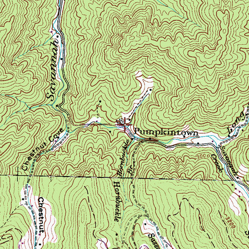 Topographic Map of Pumpkintown, NC