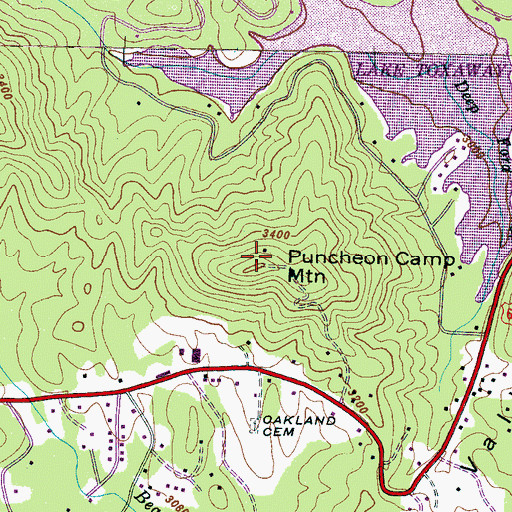 Topographic Map of Puncheon Camp Mountain, NC