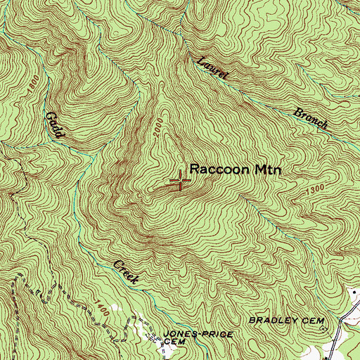 Topographic Map of Raccoon Mountain, NC