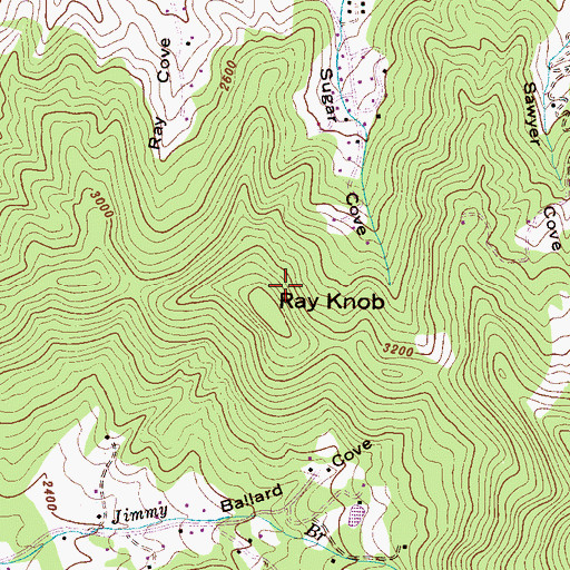 Topographic Map of Ray Knob, NC