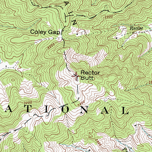 Topographic Map of Rector Butt, NC