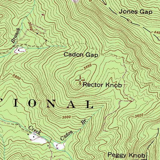 Topographic Map of Rector Knob, NC